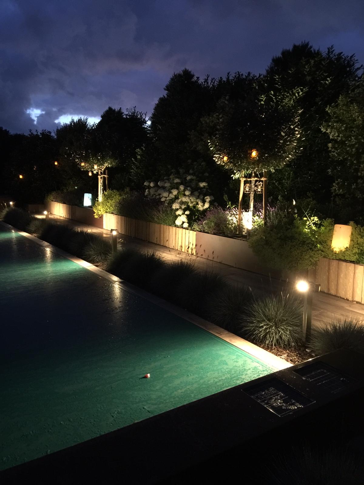 Beleuchteter Poolbereich mit grüner Wasseroberfläche und umgebenden Pflanzen bei Nacht.