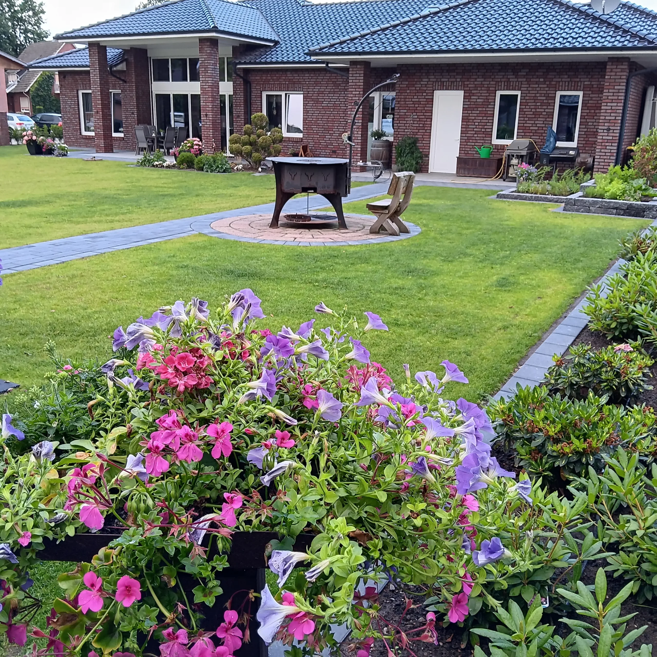 Bunte Blumen in einem Garten mit einem Wohnhaus im Hintergrund und einer Rasenfläche.